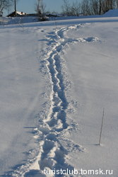Мои следы- шел местами по пояс в снегу ради симпатичных кадров.