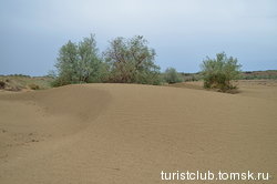 Дюны в окрестностях Балхаша