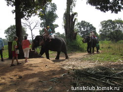 Катание на слонах: стоит 600 рупий за 4 минуты, очень дорого