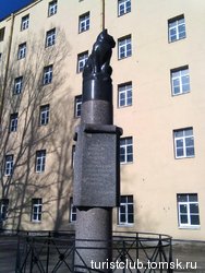 Памятник подопытной кошке.